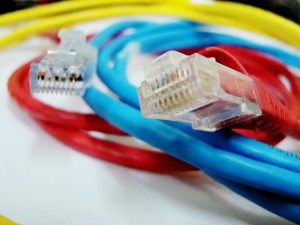 Network cables patched into a switch